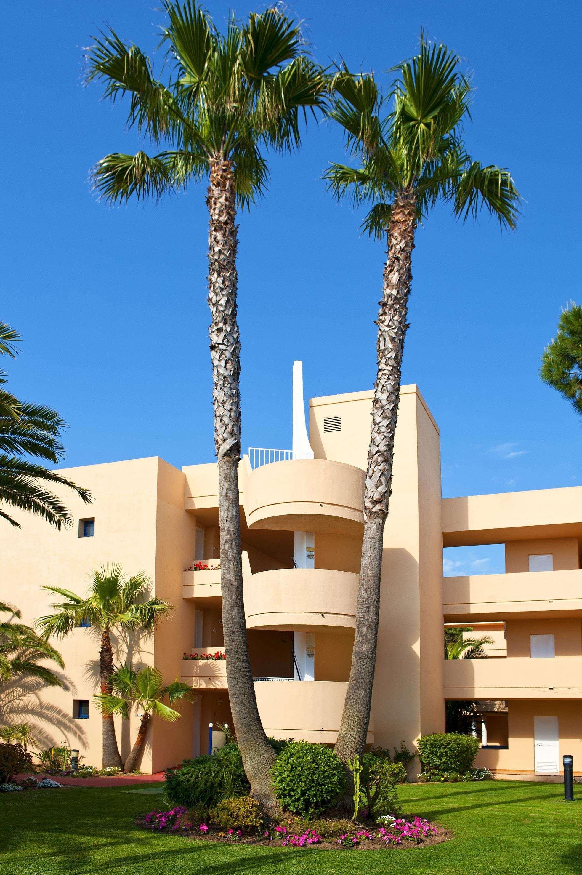 Sol Sancti Petri Aparthotel Chiclana de la Frontera Exterior foto